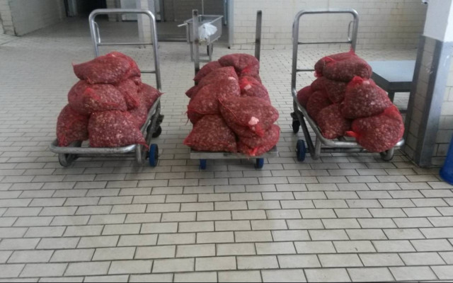 Αλεξανδρούπολη: Κατασχέθηκαν 624 κιλά ακατάλληλα όστρακα