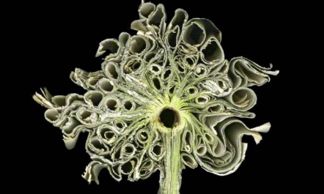 Tα βιβλία δεν είναι μόνο για διάβασμα (photos)