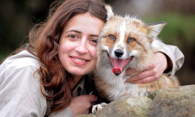 Η αλεπού που νομίζει πως είναι… σκύλος! (video & photos)