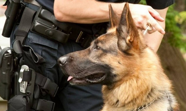 Ξάνθη: Φάρσα το τηλεφώνημα για βόμβα στο Δικαστικό Μέγαρο