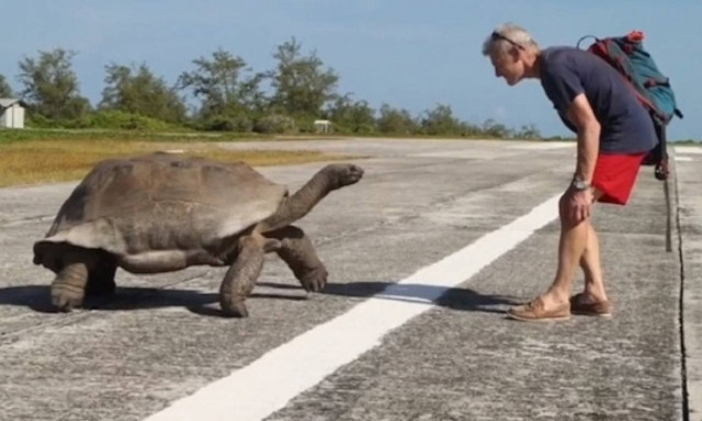 Η πιο αργή καταδίωξη όλων των εποχών (video)