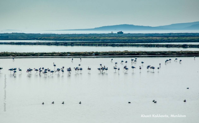 Παγκόσμια Ημέρα Νερού: Η Coca-Cola Τρία Έψιλον προστατεύει τους υδάτινους πόρους