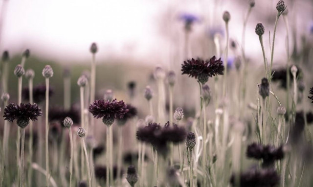 Τοπία γεμάτα συναίσθημα (photos)