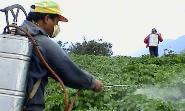 Παγκόσμιος Οργανισμός Υγείας: Δημοφιλές φυτοφάρμακο επικίνδυνο για την υγεία