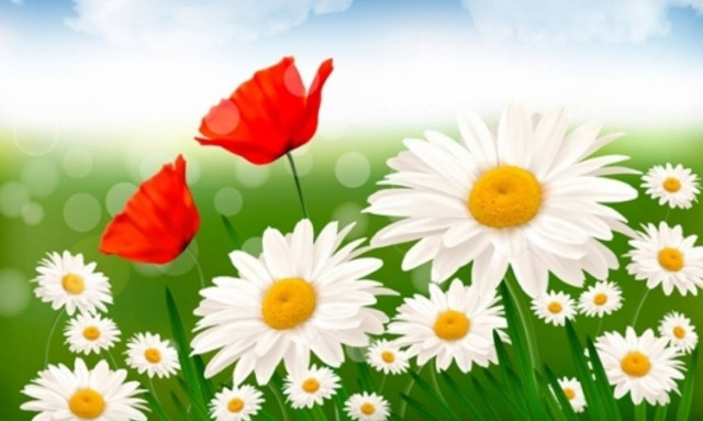 Οι τυχερές και όμορφες στιγμές της ημέρας: Κυριακή 22 Μαρτίου