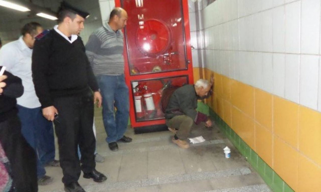 Κάιρο: Γάτα ζούσε επί 5 χρόνια μέσα στον τοίχο σταθμού του μετρό (video)