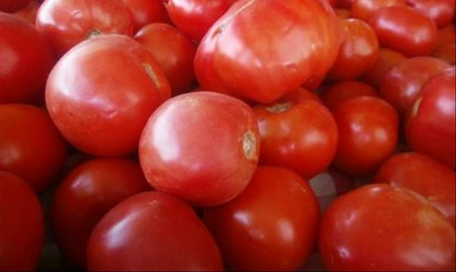 Άγιος Ιωάννης Ρέντης: Δέσμευση 6 τόνων οπωροκηπευτικών χωρίς σήμανση