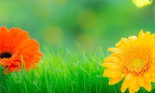 Οι τυχερές και όμορφες στιγμές της ημέρας: Σάββατο 28 Μαρτίου