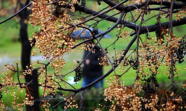Άστατος και με βροχές ο καιρός την Κυριακή (29/03)