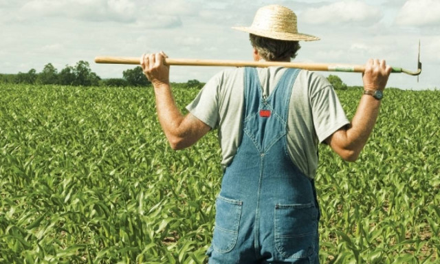 Μηνιαίως οι πληρωμές των πρόωρων αγροτικών συντάξεων από τον Μάιο