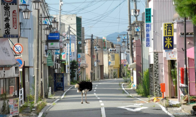 Η Φουκουσίμα μετά την καταστροφή (photos)