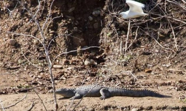 Οι τελευταίες φωτογραφίες του Σήφη (pics&vid)