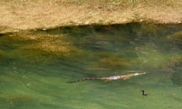 Το… κηδειόχαρτο του Σήφη που «αναπαύεται» στο φράγμα των Ποταμών