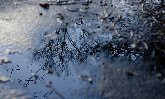 Mετά τη βροχή (photos)