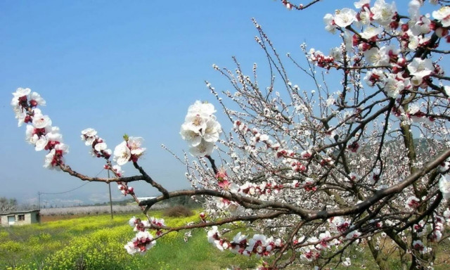 Παραμένει ανοιξιάτικος ο καιρός – Πέφτει λίγο η θερμοκρασία