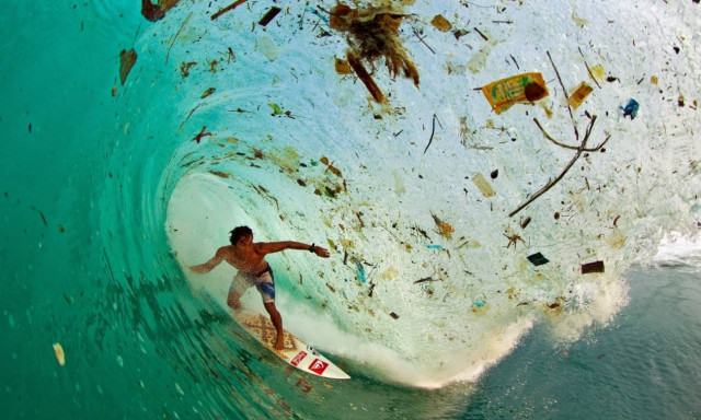Υπερπληθυσμός και υπερεκμετάλλευση (photos)