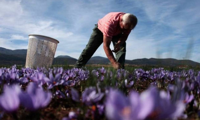 Μέχρι τη Μ. Τετάρτη η πρώτη δόση των οικογενειακών επιδομάτων