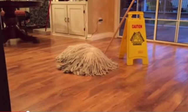 Αυτό που βλέπεις τι νομίζεις ότι είναι; (video)