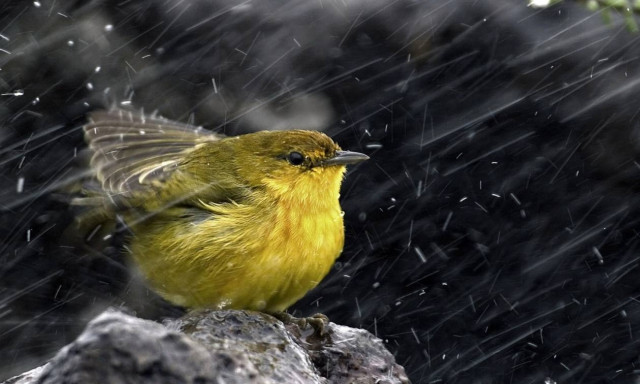 Κύπρος: Πάσχα με βροχές και χιόνια