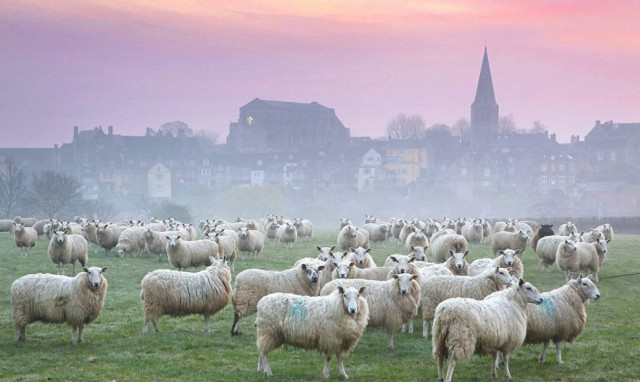 Η σκόνη από τη Σαχάρα πήγε Βρετανία (photos)