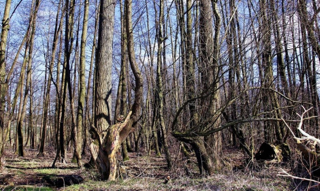 Βρες που κρύβεται το μοντέλο (photos)