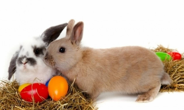 Ερωτικό ωροσκόπιο 12/4