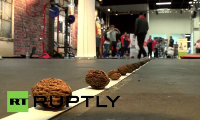 Σπάει καρύδια με τα… οπίσθιά του! (video)