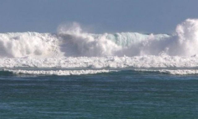Επίθεση καρχαρία με θύμα 13χρονο αγοράκι