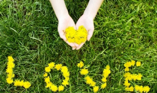 Ερωτική εβδομάδα για όλα τα ζώδια