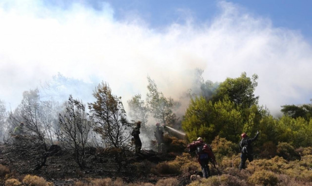 Ιεράπετρα: Ολονύχτια μάχη με τις φλόγες