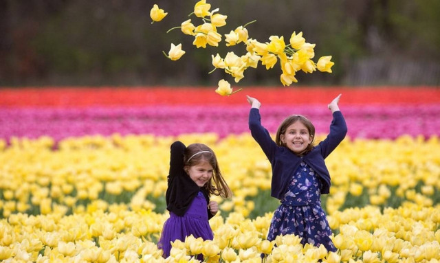 Βρετανία: Θερμοκρασίες Αυγούστου στην καρδιά της Άνοιξης (photos)