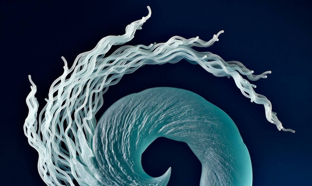 Το γυαλί όπως δεν το έχετε ξαναδεί (photos)