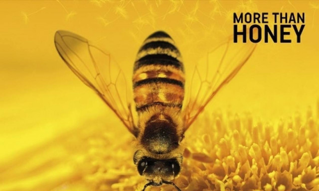 Φεστιβάλ Βραβευμένων Διεθνών Ντοκιμαντέρ στον πολυχώρο Γαλαξίας