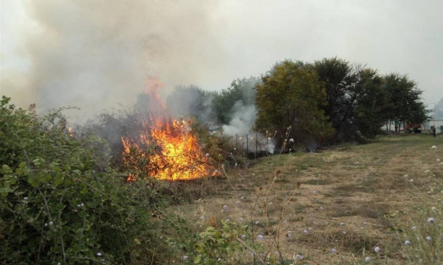 Συνελήφθη 45χρονος για φωτιά στην Κρήτη