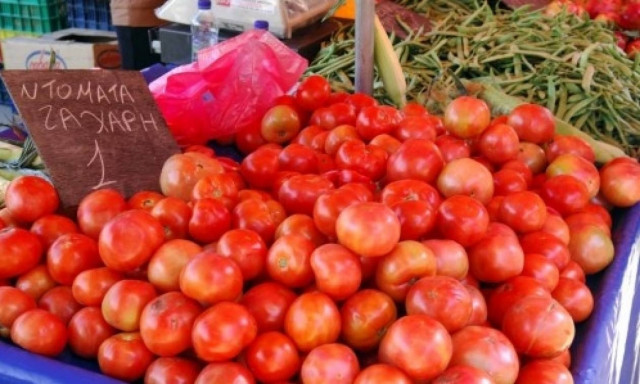 Δέσμευση ντομάτας συνολικού βάρους 1,3 τόνου