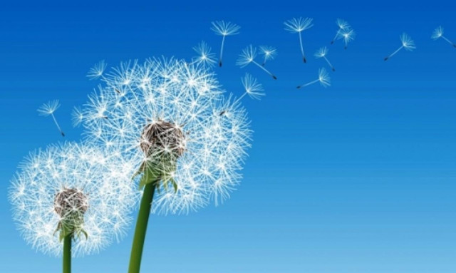 Οι τυχερές και όμορφες στιγμές της ημέρας: Σάββατο 25 Απριλίου