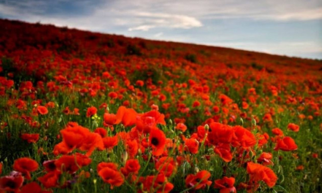 Πώς αμείβονται όσοι εργάζονται την Πρωτομαγιά