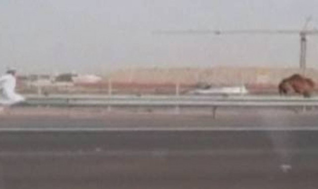 Ό,τι πιο αστείο είδατε σήμερα: Άραβας κυνηγάει ξυπόλυτος την… καμήλα του! (video)