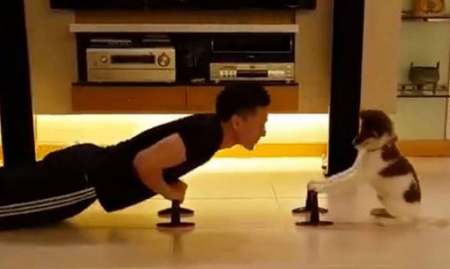 Αξιολάτρευτο κουτάβι γυμνάζεται μαζί με τον ιδιοκτήτη του! (video)