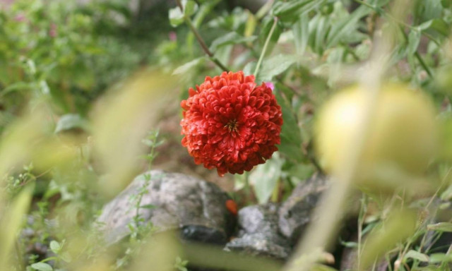 Πρωτομαγιά... 5 χρόνια μετά!