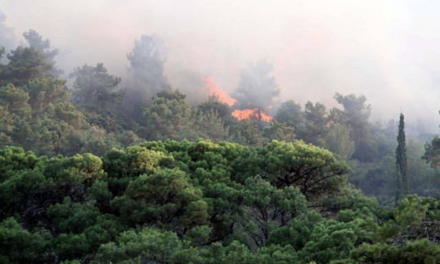 Σε ύφεση η πυρκαγιά στη Σάμο