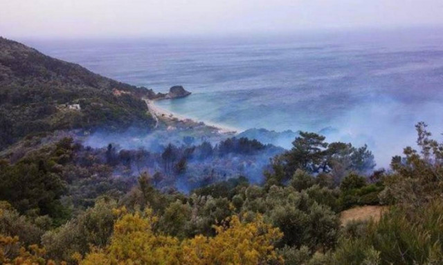 Σάμος: Σύλληψη 69χρονου για την πυρκαγιά στο Ποτάμι Καρλοβάσου