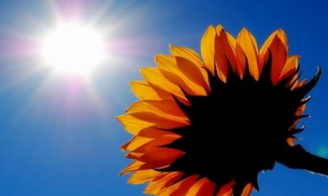 Σε επίπεδα καλοκαιριού η θερμοκρασία - Μίνι καύσωνας την Πέμπτη