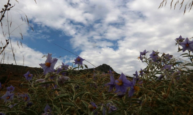Καλός ο καιρός της Παρασκευής – Άστατος το Σαββατοκύριακο με πτώση της θερμοκρασίας