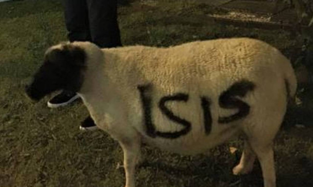 Πρόβατο τζιχαντιστής στη Βρετανία (photos)