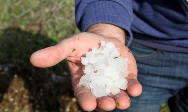Έβρος: Ολοσχερής η καταστροφή στους αμπελώνες από το χαλάζι