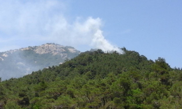 Έβρος: Άμεση κατάσβεση πυρκαγιάς στο Εθνικό Πάρκο Δαδιάς