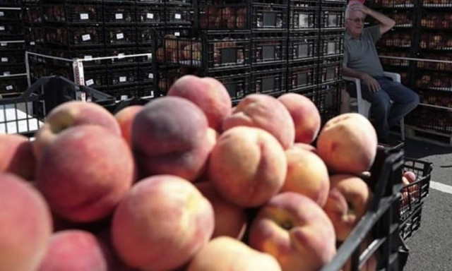 «Θρίλερ» για τη Β. Ελλάδα η ρωσική απαγόρευση