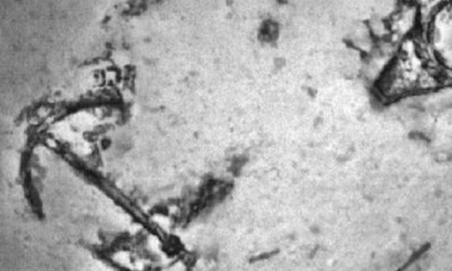 MH370: Αντί για το αεροπλάνο βρήκαν... ναυάγιο στον Ινδικό Ωκεανό