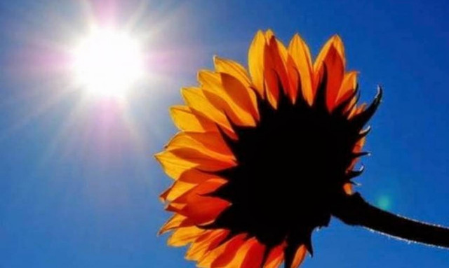 «Μίνι» καύσωνας από σήμερα - Στους 32 βαθμούς η θερμοκρασία